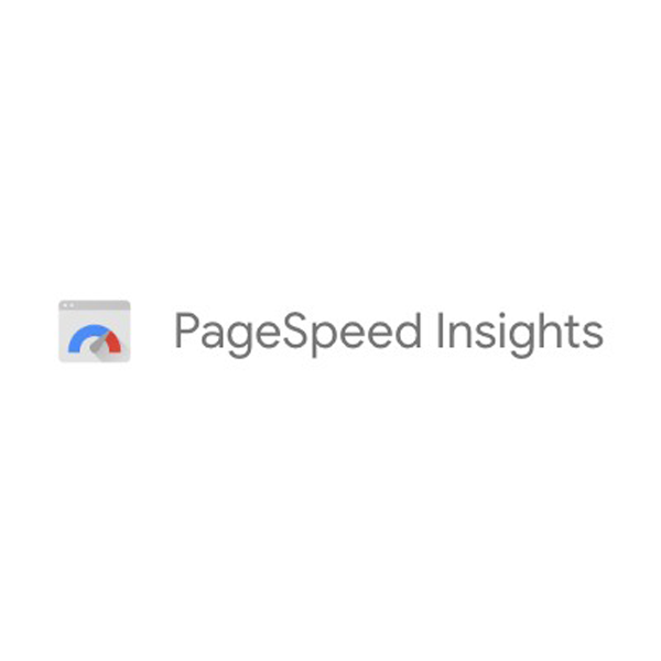 Google-Pagespeed-Insights-Tool google pagespeed insights logo